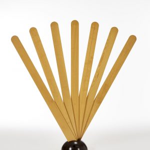 Ref : P008 - Giovanni Pasotto - Paravent "Ventaglio"