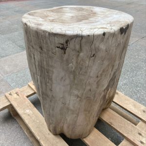 Ref : ADE02 - Petrified wood - Trias Era