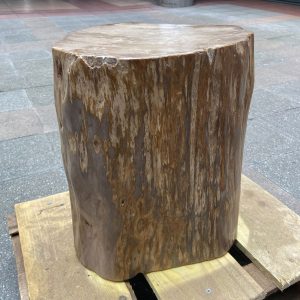 Ref : ADE03 - Petrified wood - Trias Era